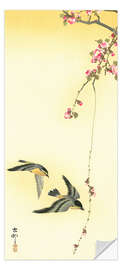 Door sticker Starlings and Cherry Tree - Ohara Koson