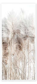 Door poster Pampas Grass I - Magda Izzard