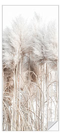 Door sticker Pampas Grass I - Magda Izzard