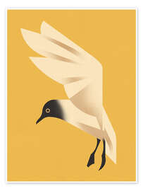 Wall art print Black-headed Gull - Dieter Braun