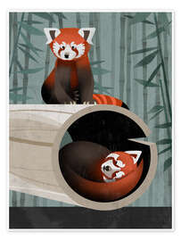 Wall art print Red Panda - Dieter Braun