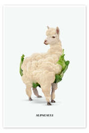 Wall art print Alpacauli - Jonas Loose