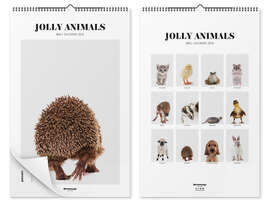 Wall calendar Jolly Animals Calendar 2026 - Animal Kids Collection