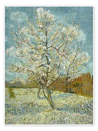 Wall art print The Pink Peach Tree, 1888 - Vincent van Gogh