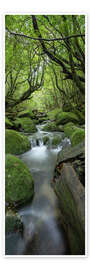 Wall art print Stream in the green forest - Jan Christopher Becke
