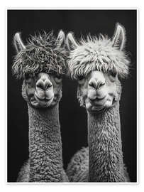 Wall art print Alpaca Love Forever - Frank Daske