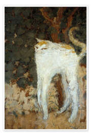 Wall art print The White Cat, 1894 - Pierre Bonnard