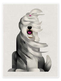 Wall art print Bobtail - Dieter Braun