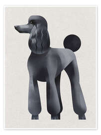 Wall art print Poodle - Dieter Braun