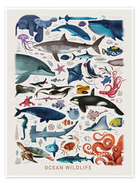 Poster Ocean Wildlife II - Dieter Braun