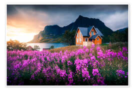 Wall art print Orange house in Lofoten during sunrise - Lucas Tiefenthaler