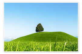 Wall art print Single tree in Switzerland - Lucas Tiefenthaler