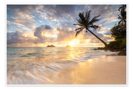 Wall art print Sunrise Lanikai Beach with palm tree in Oahu Hawaii - Lucas Tiefenthaler