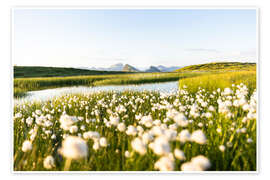 Wall art print Summer in the Alps - Lucas Tiefenthaler