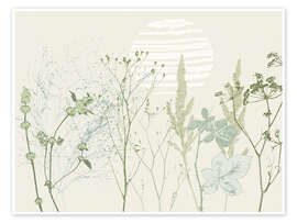 Wall art print Grasses and wild herbs in soft green tones - Annick