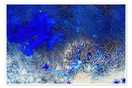 Wall art print Sunlit Reef - Petra Meikle