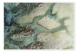 Wall art print Evergreen - Petra Meikle