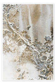 Wall art print Entwined - Petra Meikle