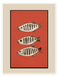 Wall art print Fish composition in red - Branka Kodžoman