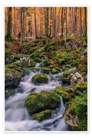 Wall art print Autumn in Triglav National Park, Slovenia - Achim Thomae