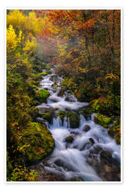 Wall art print Golden October in Slovenia - Achim Thomae