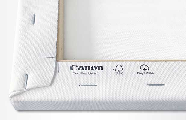 Rear side of the canvas on a wooden frame