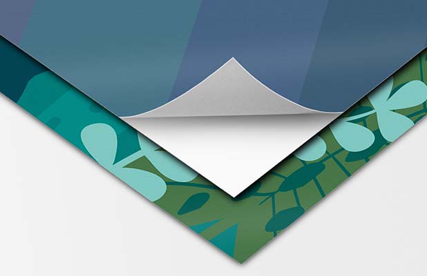 Wall sticker with self-adhesive backing