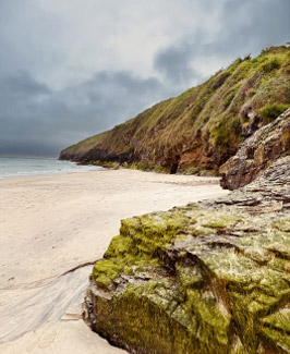 Rocky coastal landscape with moss-covered stones