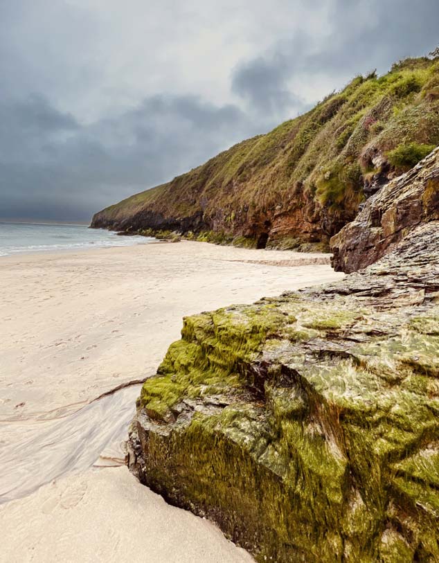 Rocky coastal landscape with moss-covered stones