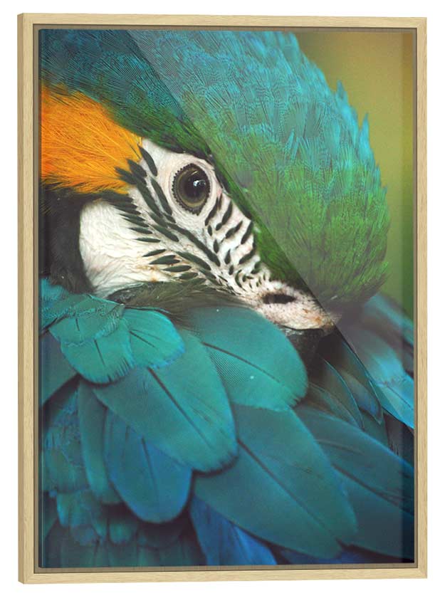 Framed acrylic print