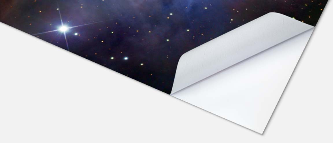 Door sticker, close-up view