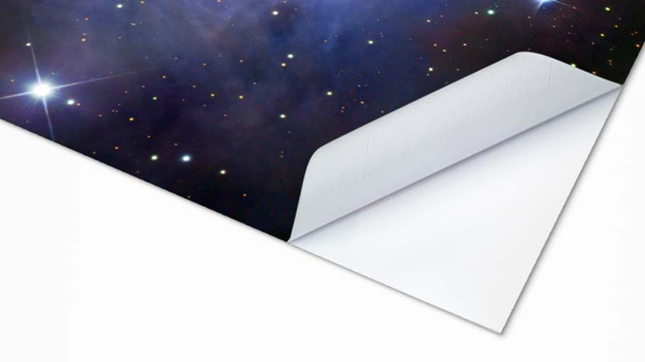 Door sticker, close-up view