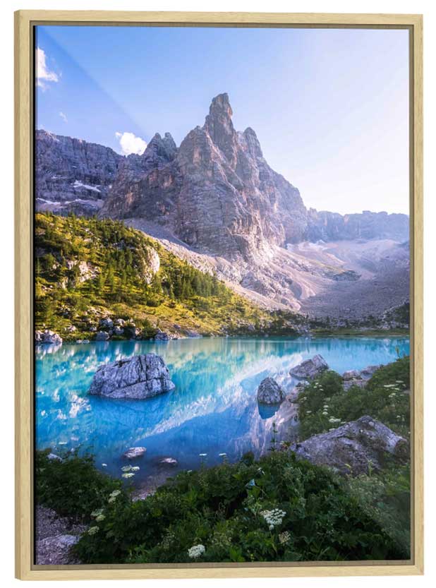 Framed gallery print