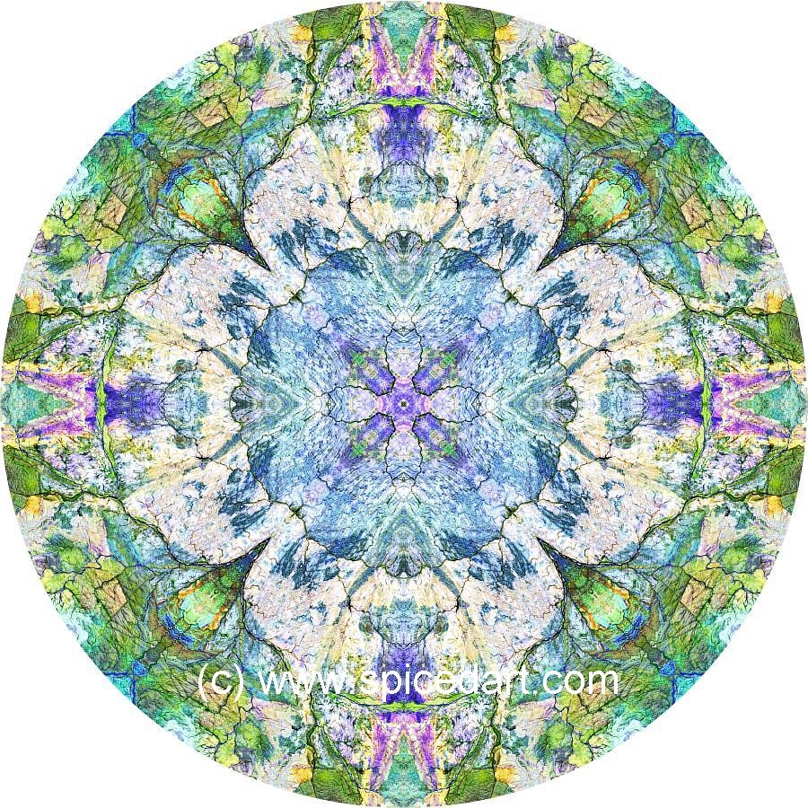Kaleidoscope Art Print - Great Sandy Desert 07