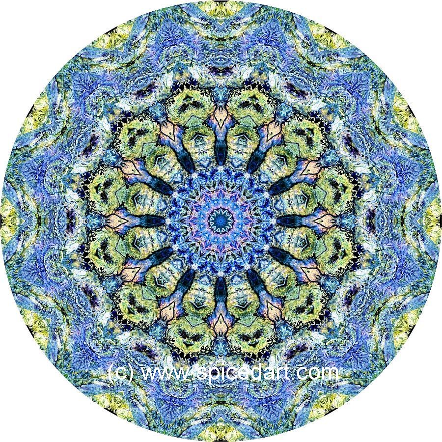 Mandala Art Print - MacDonnell Ranges 01