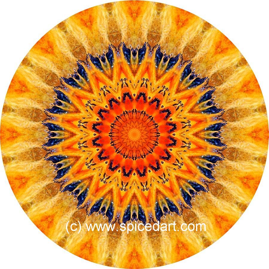 Earth Mandala Art - Sahara-Terkezi Oasis 03