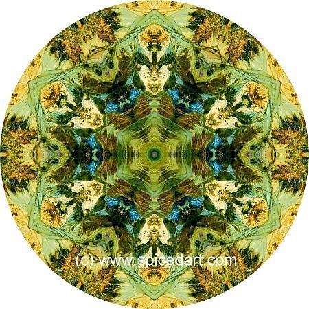 Andes Mountains Kaleidoscope Mandala Art Print